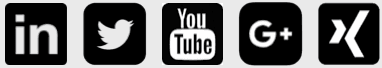 Social media platform icons: LinkedIn, Twitter, YouTube, Google+, and XING.